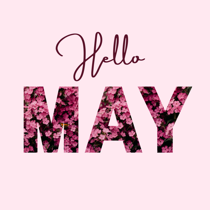 hello may - may daily specials